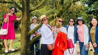 Big success thanks to abandoning low-yield rice cultivation and planting durian trees for tourism.