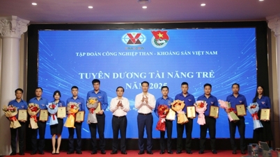 El Grupo Minero de Carbón de Quang Ninh celebró una reunión para hacer un resumen de su trabajo y de las actividades del movimiento juvenil durante el primer trimestre de 2026.