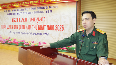 Försvarszon 5 - Quang Yen: Fokus på att utbilda milisstyrkor på ett sätt som är relevant för den lokala situationen.