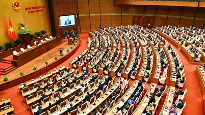Die Nationalversammlung bestätigt die Ernennung der Minister für die neue Amtszeit.