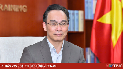 Associate Professor Dr. Hoang Minh Son has been appointed Minister of Education and Training.