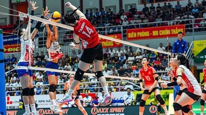 Campeonato Nacional de Voleibol de 2026: Desafios do Formato da Competição