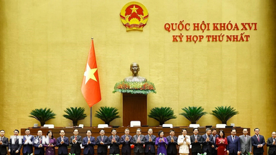 Liste over 6 visestatsministre for perioden 2026–2031.