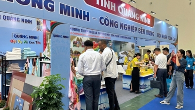 Quang Ninh, 35. Vietnam Uluslararası Ticaret Fuarı – Vietnam Expo 2026'ya 4 stantla katıldı.