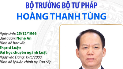 Justisminister Hoang Thanh Tung