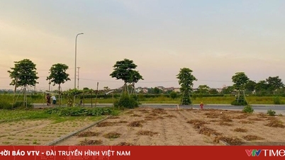 Pembebasan dan pengurangan biaya penggunaan lahan di Hanoi: Di ​​mana mengajukan permohonan?