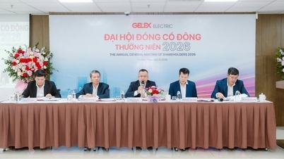 Ежегодное общее собрание акционеров GELEX Electric в 2026 году: создание импульса для долгосрочного цикла роста.