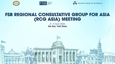 Réunion du Groupe consultatif régional asiatique du Conseil de stabilité financière