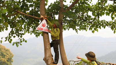Distrik Nghia Lo meningkatkan upaya pencegahan dan pengendalian kebakaran hutan.