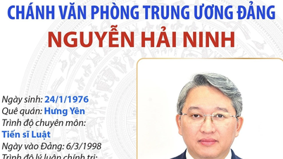 Vedoucí ústřední kanceláře strany Nguyen Hai Ninh