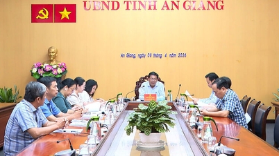 প্রাদেশিক গণ কমিটির ভাইস চেয়ারম্যান এনগো কং থুক লং জুয়েন ক্লাস্টার বিপজ্জনক বর্জ্য শোধনাগারটি শীঘ্রই চালু করার নির্দেশ দিয়েছেন।