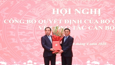 A Politikai Bizottság Tran Duc Thang elvtársat nevezte ki a Hanoi Városi Pártbizottság titkárává.
