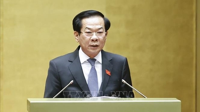 A decentralizáció és a hatáskörök delegálásának előmozdítása az emuláció és jutalmazás, a vallási meggyőződések és a vietnami képviseleti ügynökségek külföldön történő működtetése terén.