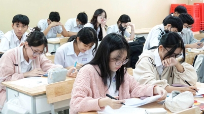 Each subject may have no more than 2 extra lessons per week.