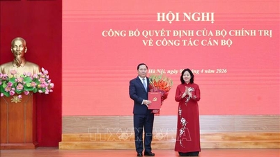 Comrade Nguyen Phi Long is assigned to the position of Standing Deputy Secretary of the Party Committee of the Vietnam Fatherland Front and Central Mass Organizations.