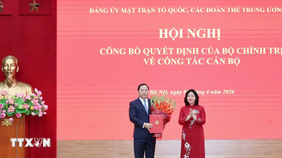 Nguyễn Phi Long elvtársat kinevezték a Vietnami Hazai Front pártbizottságának állandó titkárhelyettesévé.