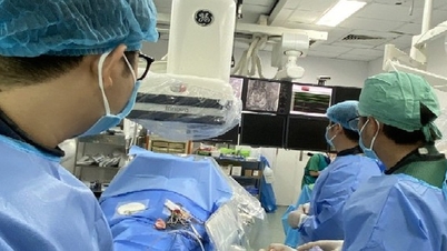 慢性的なかかとの痛みや潰瘍は、多くの高齢者が見過ごしがちな危険な兆候です。