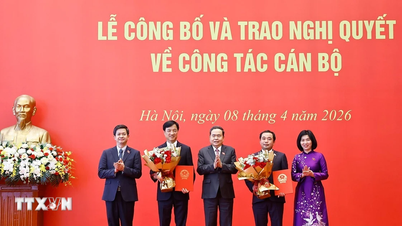 Lễ công bố và trao Nghị quyết chuyển Đoàn đại biểu Quốc hội