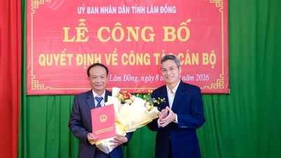 Ernennung des Vorsitzenden des Verwaltungsrats der Don Duong Forestry One-Member Limited Liability Company
