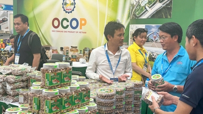20 företag från Dong Nai deltar i affärsnätverkande på Vietnam Expo 2026.