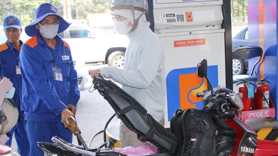 Harga petrol dan diesel telah jatuh secara keseluruhan, dengan beberapa jenis jatuh hampir 2,000 VND/liter.