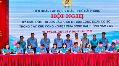 Odborový svaz Hai Phong diskutuje o řešeních pro stabilizaci pracovní síly.