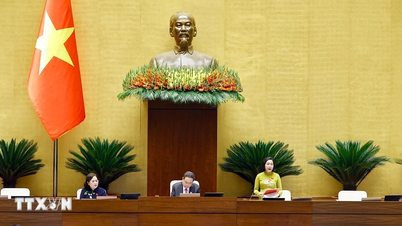 Utöka funktionerna vid vietnamesiska representationskontor och främja decentralisering av emulerings- och belöningssystem.