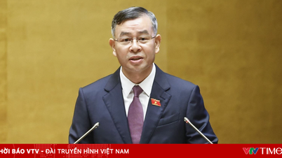 Comrade Ngo Van Tuan holds the position of Minister of Finance.