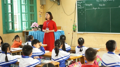 The Ministry of Education and Training clearly distinguishes between supplementary tutoring and supplementary activities.