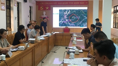 Cuộc họp xem xét, đánh giá đề xuất khảo sát, nghiên cứu đầu tư dự án Nhà máy Điện gió Cao Lộc 3, tỉnh Lạng Sơn