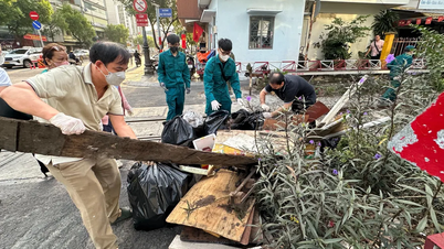 Ho Chi Minh City still has 74 polluted areas with accumulated waste that need to be addressed.