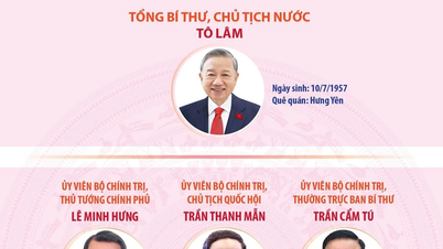 Key leaders and leaders of the Central Party Committees of the 14th term.