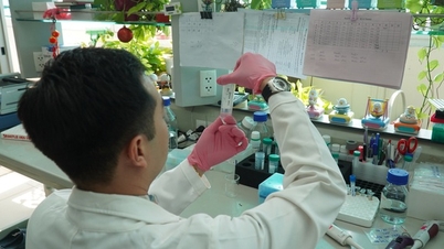 The largest medical school in Ho Chi Minh City does not use retained grades, and tuition fees have reached 90 million VND per year.