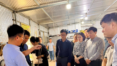 ទីក្រុងហាណូយមានគម្រោងថែរក្សា និងលើកកម្ពស់តម្លៃនៃតំបន់បុរាណវិទ្យា Vuon Chuoi។