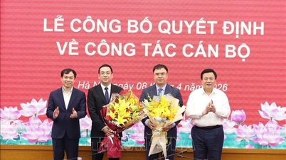 Appointment of Assistant, Secretary to the Member of the Politburo, Director of the Ho Chi Minh National Academy of Politics