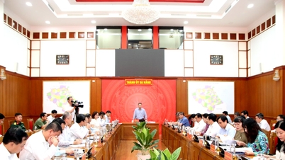 Da Nang módosítja növekedési forgatókönyvét, hogy 2026-ra kétszámjegyű növekedési célokat érjen el.