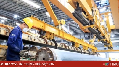 AMRO: וייטנאם מגיבה היטב לזעזועים כלכליים.