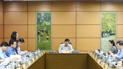 Draft Law on the Capital City (amended): Decentralization of power but "cannot be left unchecked"