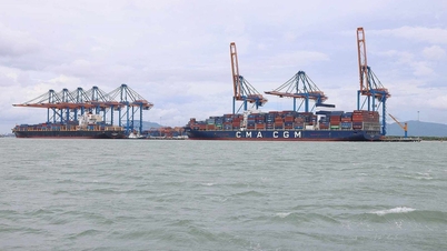 Projektet Can Gio International Transshipment Port har hittat en investerare.