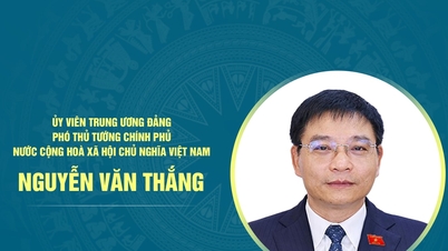 Nguyễn Van Thang miniszterelnök-helyettes életrajza