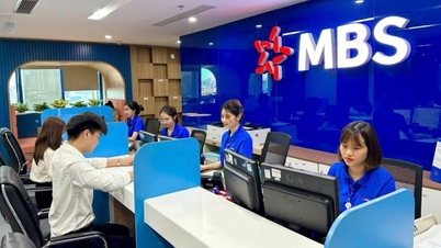 De aandelenportefeuille van MB Securities leed een verlies van meer dan 22%, terwijl de winst in het eerste kwartaal licht steeg.
