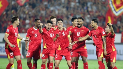 Tuyển Việt Nam: HLV Kim Sang Sik thiếu gì để mạnh hơn?