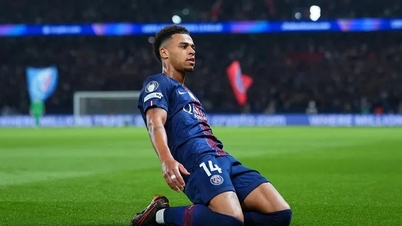 Doue i Kvaratskhelia strzelili bramki, PSG zdominowało Liverpool.