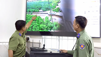 Bài 1: Cuộc đại chuyển dịch từ tư duy xanh đến hành động xanh