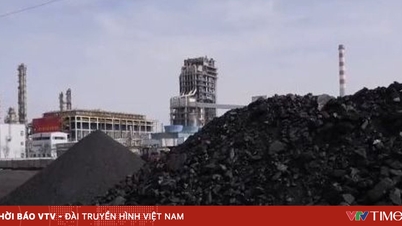 Çin'in kömür sermayesi yeşil enerjiye doğru kayıyor.