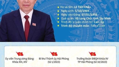 🇻🇳 Коротка біографія віце-прем'єр-міністра Ле Тьєн Чау
