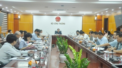 Regular meeting of the Domestic Market Steering Committee for the first quarter of 2026.
