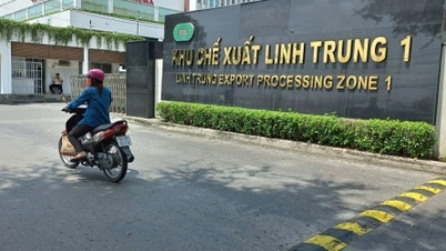 Applying special investment procedures in industrial parks and export processing zones in Ho Chi Minh City.