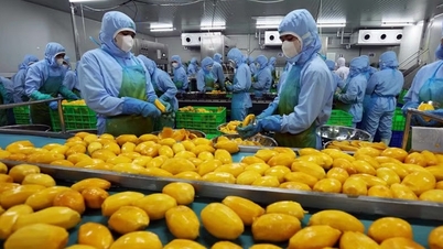 WB: Vietnam kiváló példa arra, hogy a kihívásokat hogyan lehet lehetőségekké alakítani.
