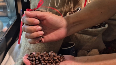 Koffieprijzen vandaag, 9 april 2026: De prijs van Arabica-koffie is met bijna 3% gestegen.